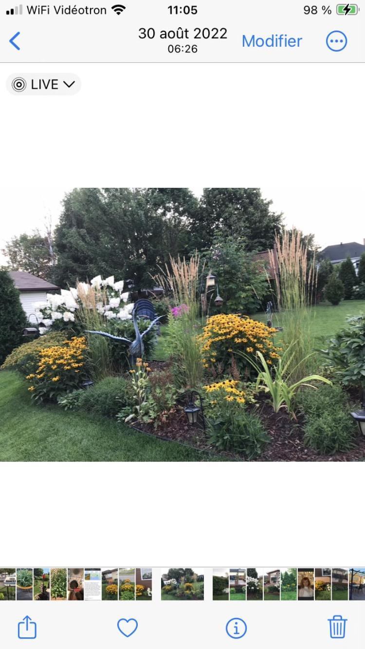 Oasis De La Riviere Daire Chicoutimi Dış mekan fotoğraf