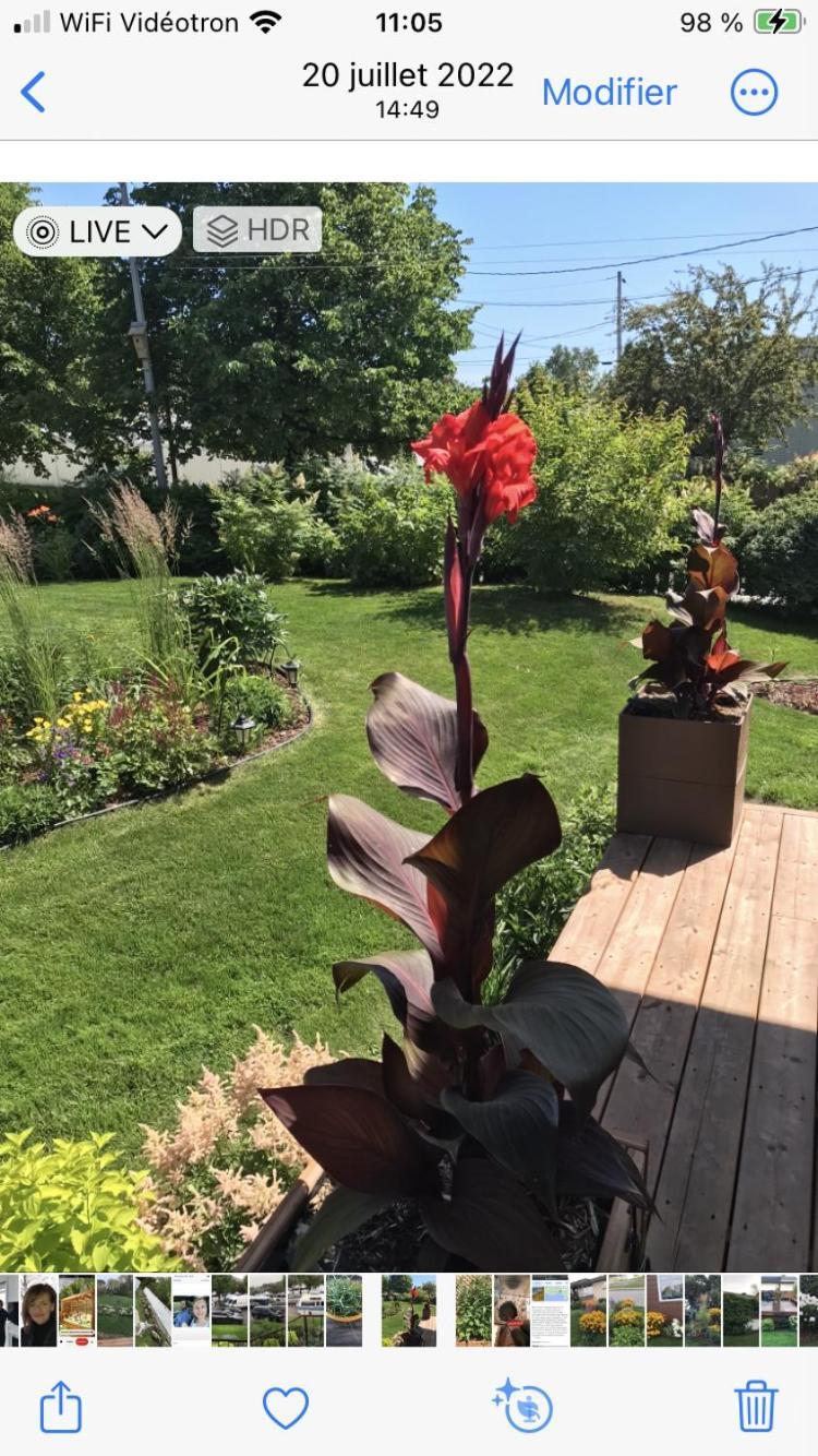 Oasis De La Riviere Daire Chicoutimi Dış mekan fotoğraf